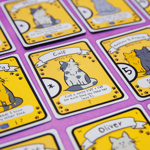 Cat Lady: Box of Treats Expansion - AEG