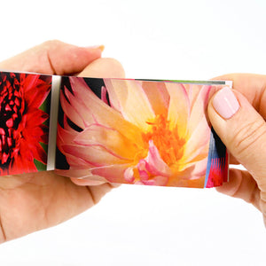 Motion in Nature Flipbook: Moving Art Bundle - Flipboku