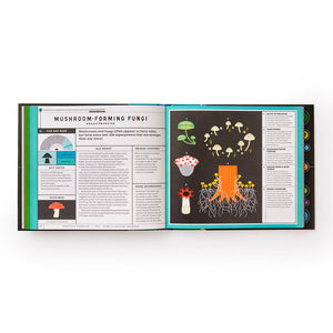 Full of Life: Exploring Earth's Biodiversity - Phaidon Press (Hardback)