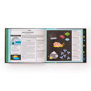 Full of Life: Exploring Earth's Biodiversity - Phaidon Press (Hardback)