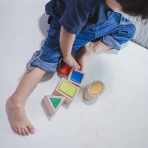 Geo Matching Blocks - PlanToys