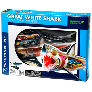 Nature Discovery Great White Shark Anatomy Kit - Thames & Kosmos