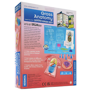 Gross Anatomy: Make Your Own Squishy Human Body - Thames & Kosmos
