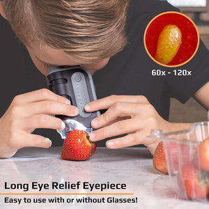Microbrite Plus Lighted Pocket Microscope (60x-120x) - Carson