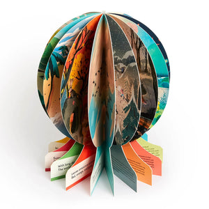 Our Seasons: The World in Winter, Spring, Summer, and Autumn - Phaidon Press (Boardbook)