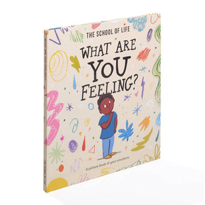 What Are You Feeling? A Picture Book of Your Emotions - The School of Life (Hardback)