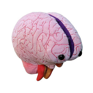 Brain Model Soft Toy - Giant Microbes