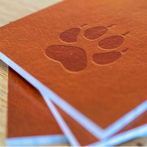 Museum Suspects Board Game - Blue Orange