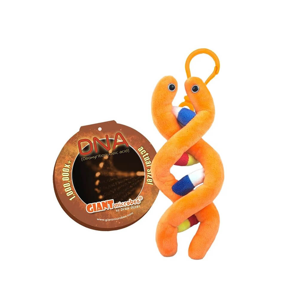 DNA Key Ring - Giant Microbes
