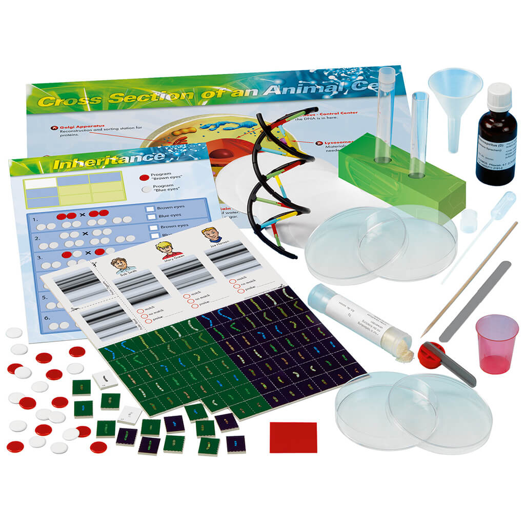 Genetics and DNA Lab Stem Experiment Kit - Thames & Kosmos
