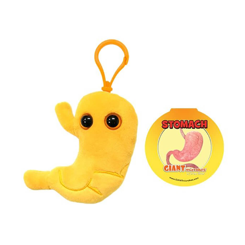 Stomach Key Ring - Giant Microbes