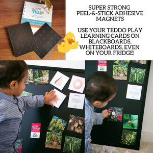 Space In a Box Flashcards Set - Teddo Play