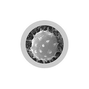 White Blood Cell Key Ring - Giant Microbes