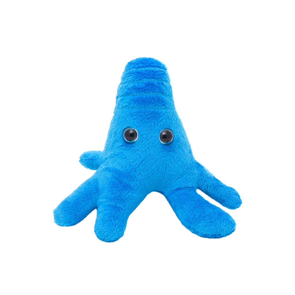 Amoeba (Amoeba Proteus) Soft Toy - Giant Microbes