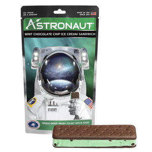 Astronaut Food: Mint Choc Chip Ice Cream Sandwich