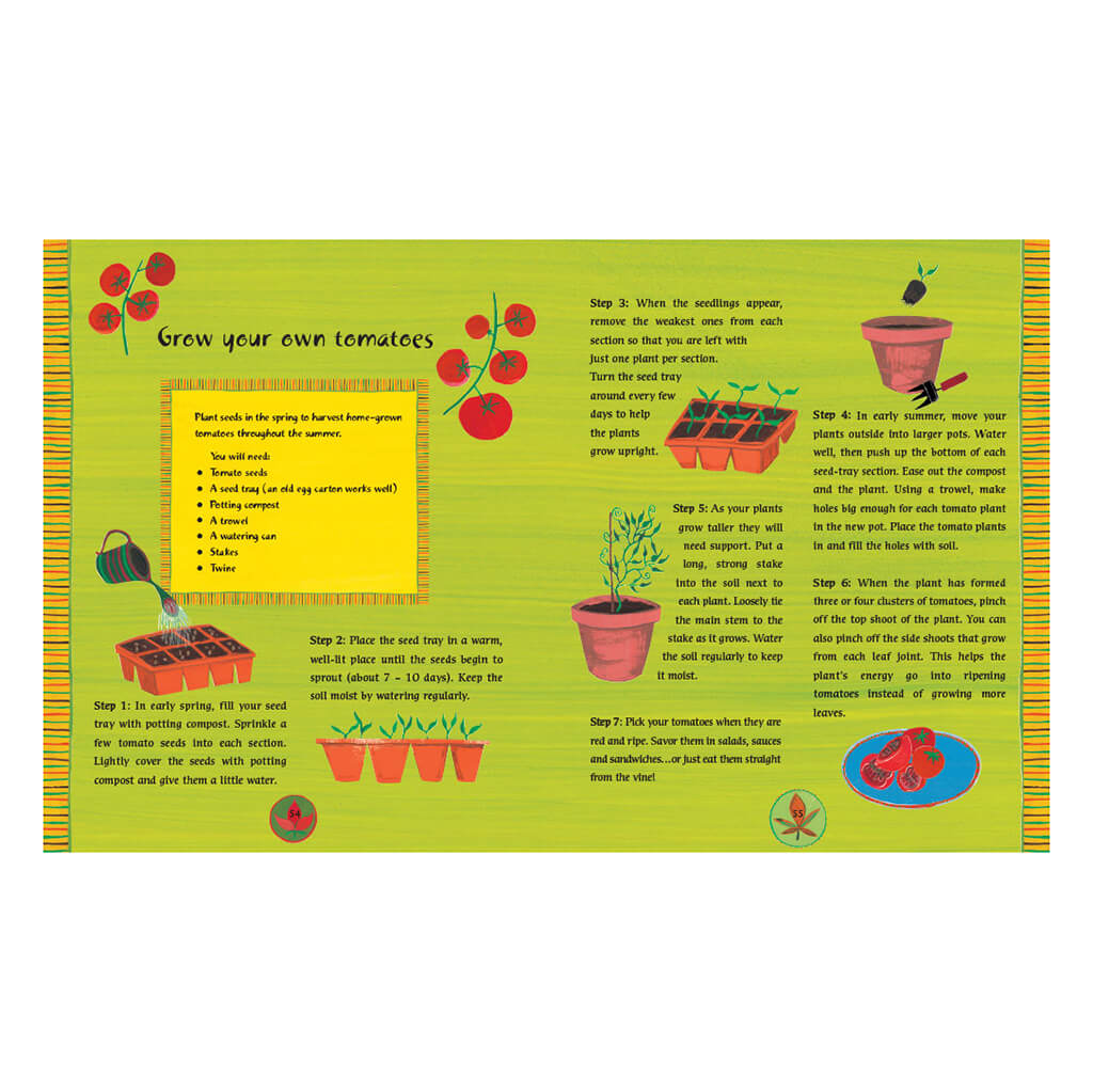 The Barefoot Book of Earth Tales - Barefoot Books (Paperback)