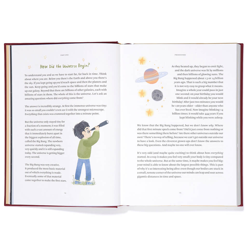 Big Ideas from History Book - The School of Life (Hardback)