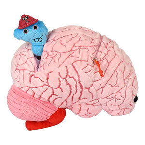Deluxe Brain with Hidden Cells & Neurotransmitters Soft Toy - Giant Microbes