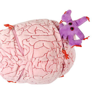 Deluxe Brain with Hidden Cells & Neurotransmitters Soft Toy - Giant Microbes