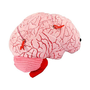 Deluxe Brain with Hidden Cells & Neurotransmitters Soft Toy - Giant Microbes