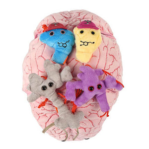 Deluxe Brain with Hidden Cells & Neurotransmitters Soft Toy - Giant Microbes