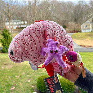 Deluxe Brain with Hidden Cells & Neurotransmitters Soft Toy - Giant Microbes