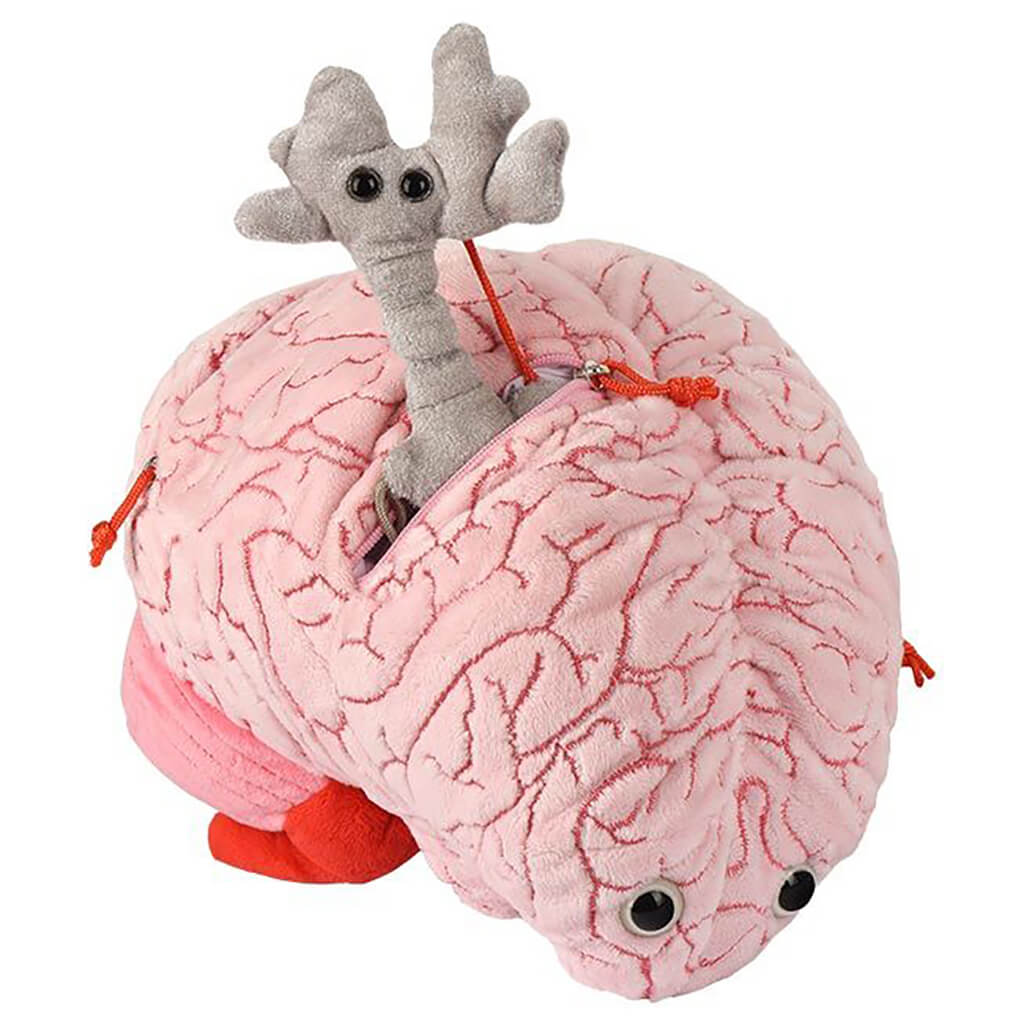 Deluxe Brain with Hidden Cells & Neurotransmitters Soft Toy - Giant Microbes