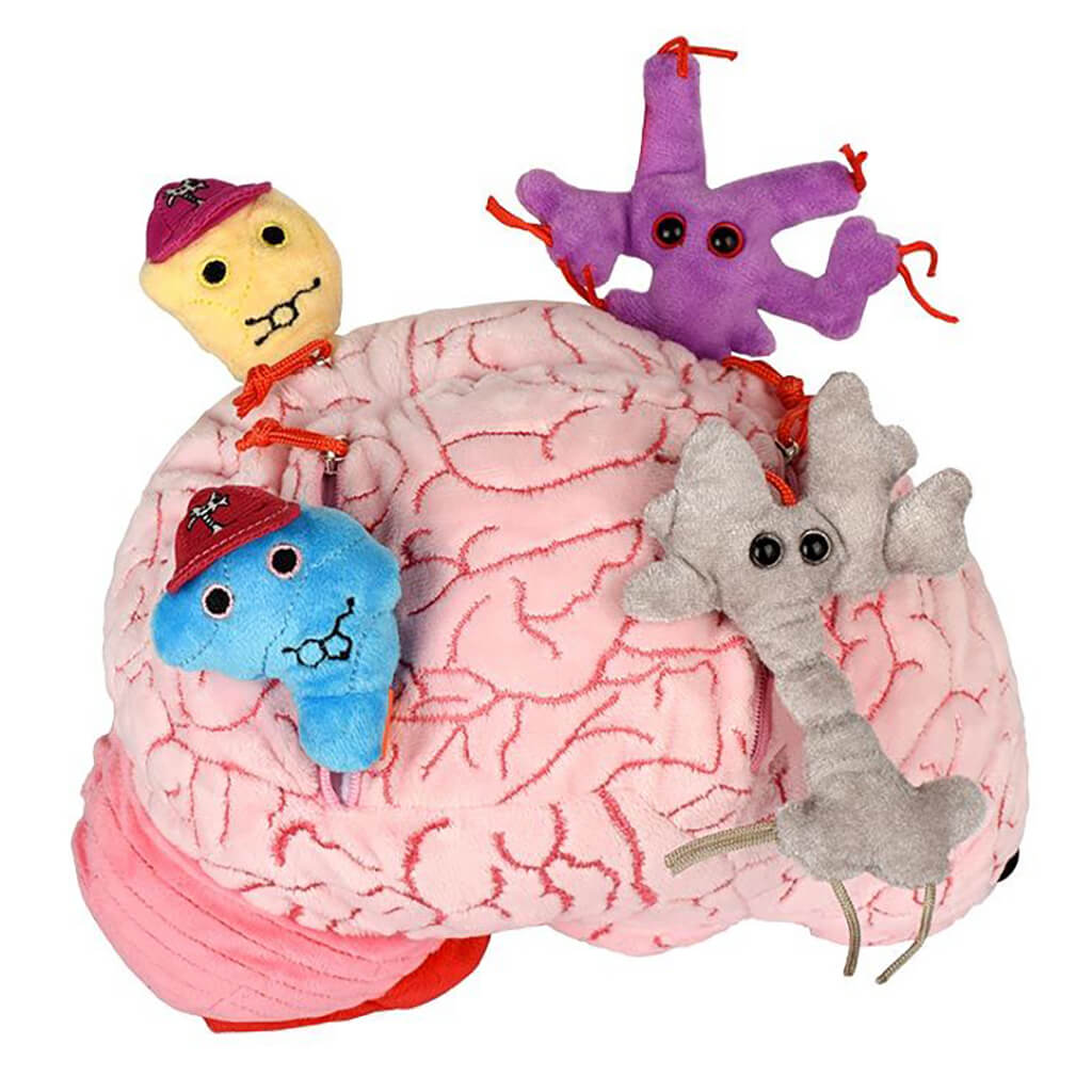 Deluxe Brain with Hidden Cells & Neurotransmitters Soft Toy - Giant Microbes