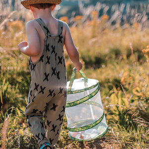 Butterfly Garden (with Voucher for Caterpillars) - Insect Lore