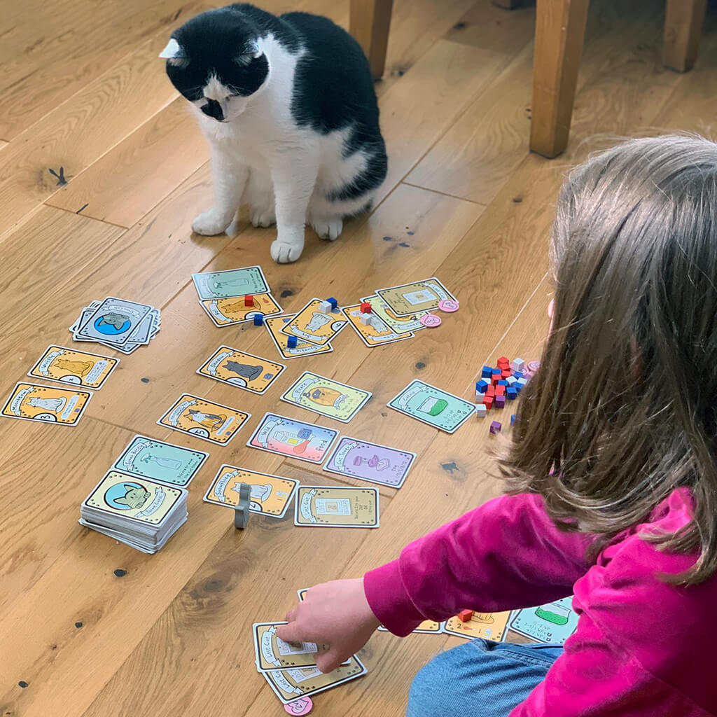 A closer look at Feline Fun And Games