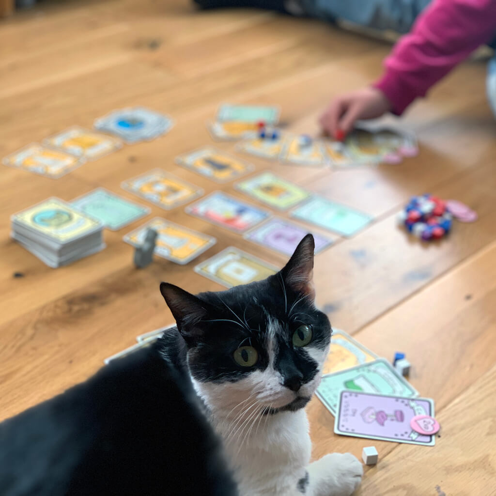 Cat Lady: A Game of Feline Fun - AEG