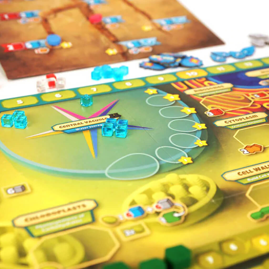 Biocell Game Cellulose: A Plant Cell Biology Game | Steam Rocket | Fun, Educational ...