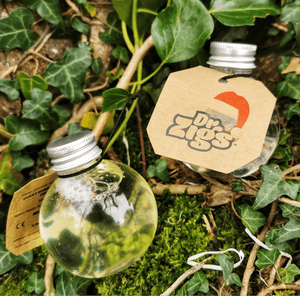 Christmas Bubble Bauble Kit - Dr Zigs