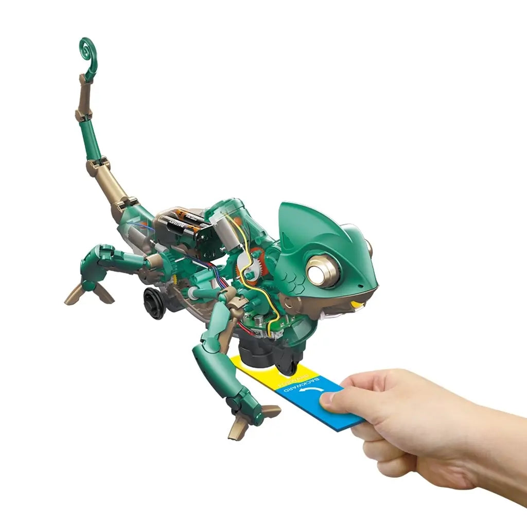 Codee the Colour-Sensing Coding Chameleon - Construct & Create