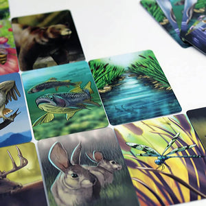 Ecosystem Card Game - Genius Games