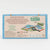 Everyday Explorer Kit with Magnifying Glass: Plants and Flowers - Professor Puzzle