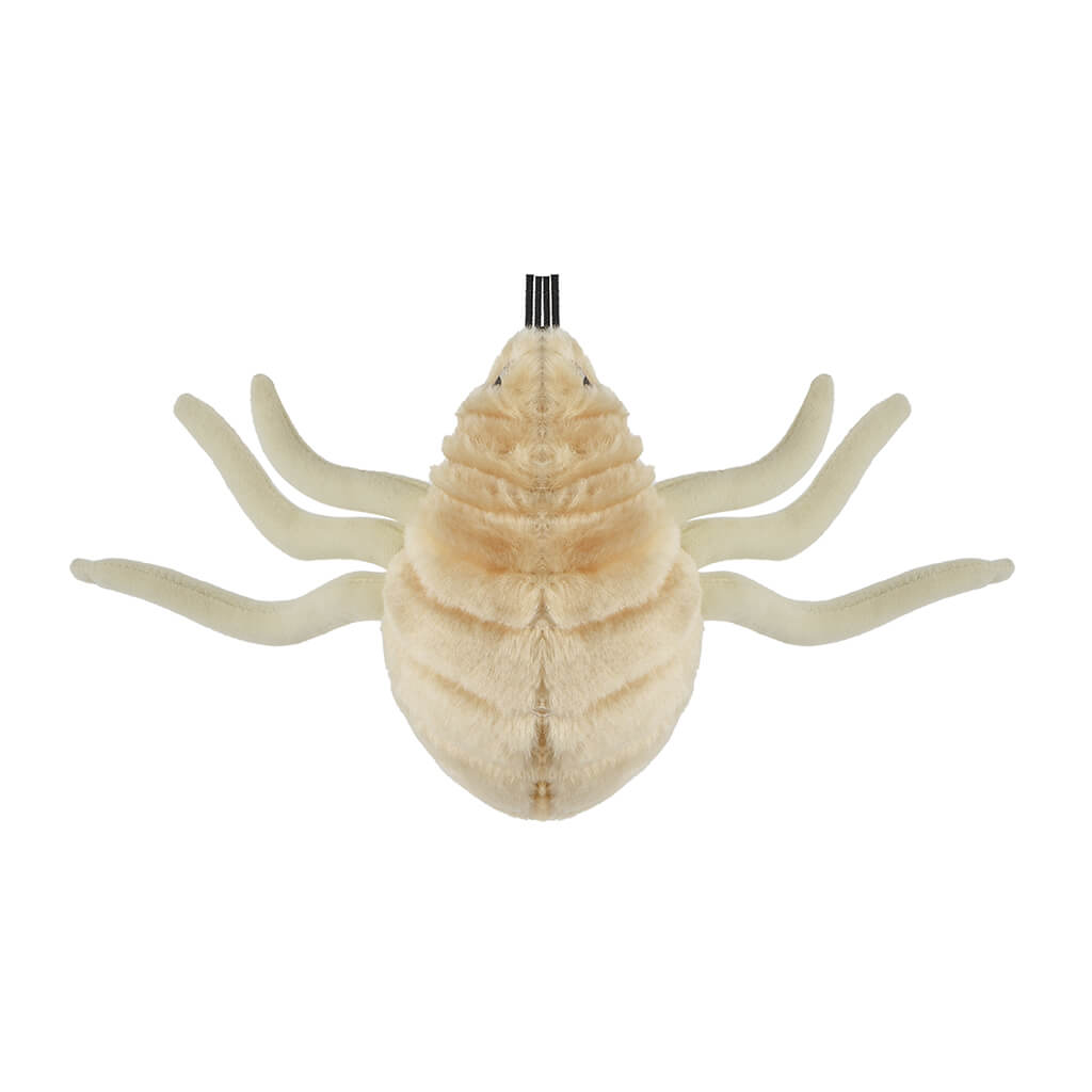 Flea (Ctenocephalides Felis) Soft Toy - Giant Microbes