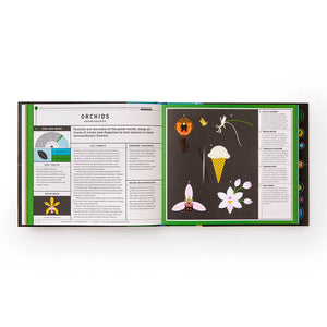 Full of Life: Exploring Earth's Biodiversity - Phaidon Press (Hardback)