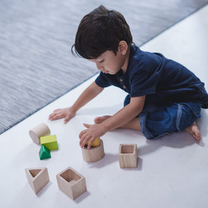 Geo Matching Blocks - PlanToys