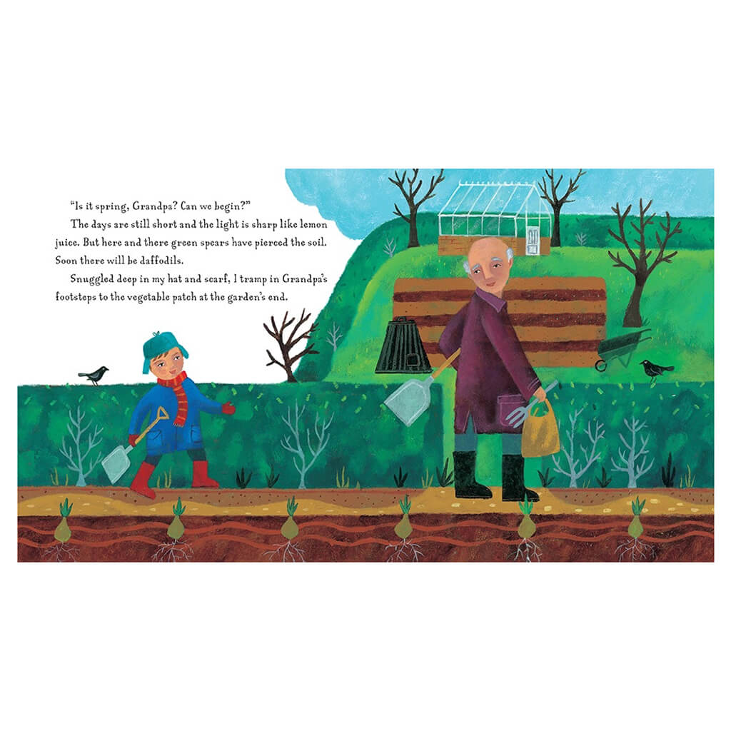 Grandpa's Garden - Barefoot Books (Paperback)