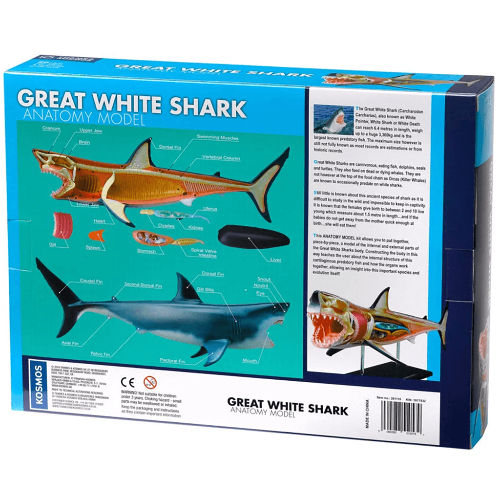 Nature Discovery Great White Shark Anatomy Kit - Thames & Kosmos