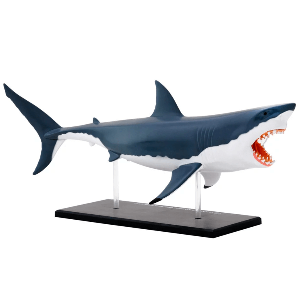 Nature Discovery Great White Shark Anatomy Kit - Thames & Kosmos