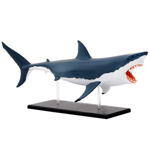 Nature Discovery Great White Shark Anatomy Kit - Thames & Kosmos