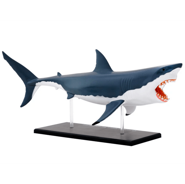 Thames & Kosmos Nature Discovery Great White Shark Anatomy Kit | Steam ...