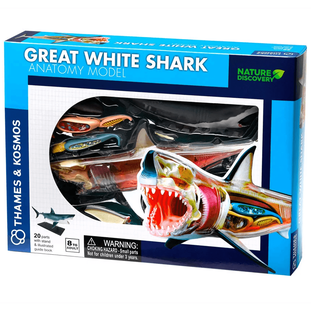 Nature Discovery Great White Shark Anatomy Kit - Thames & Kosmos