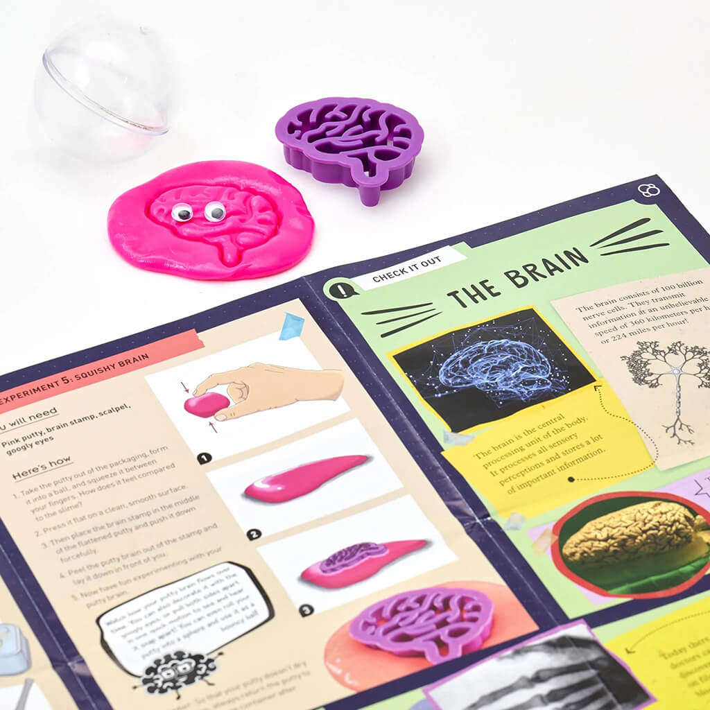 Gross Anatomy: Make Your Own Squishy Human Body - Thames & Kosmos