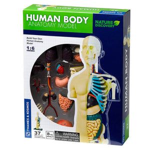 Human Body Anatomy Model - Thames & Kosmos