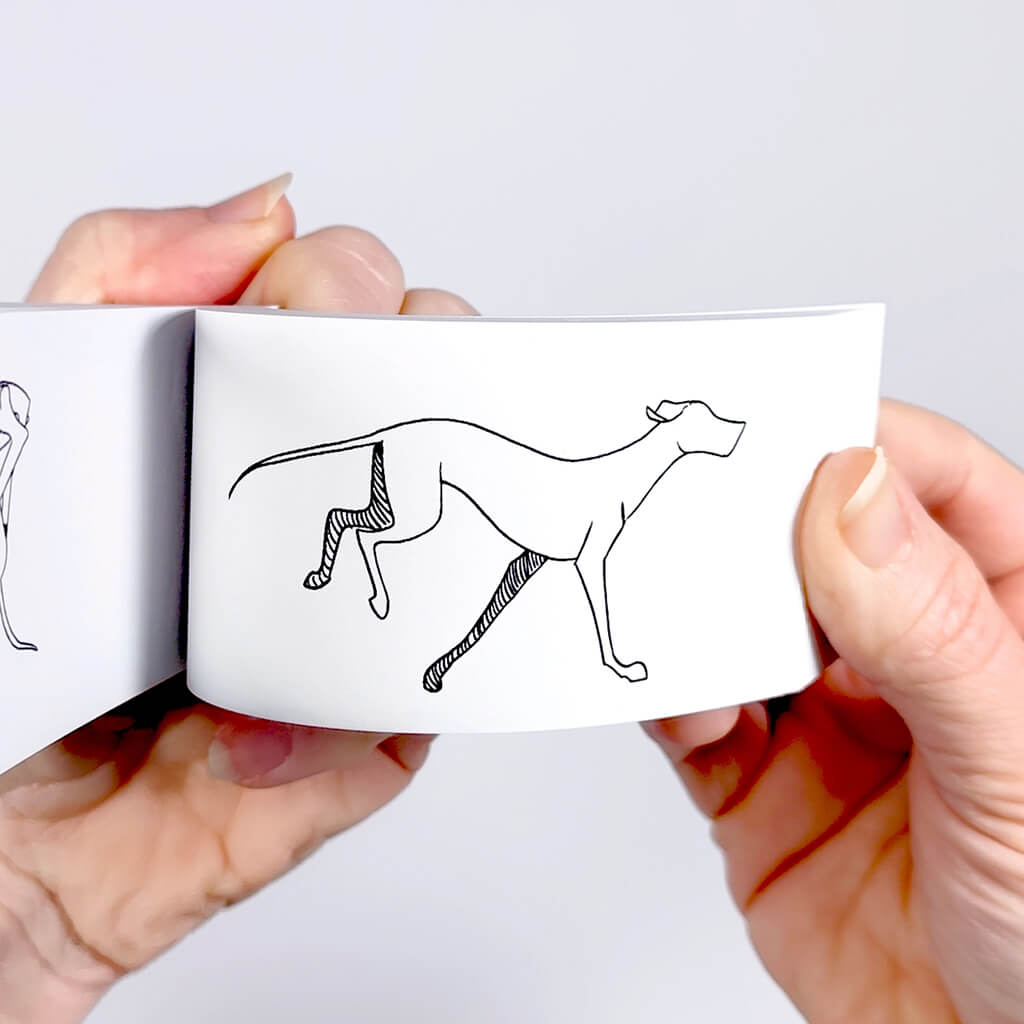 Human & Animal Motion Flipbook Set - Flipboku