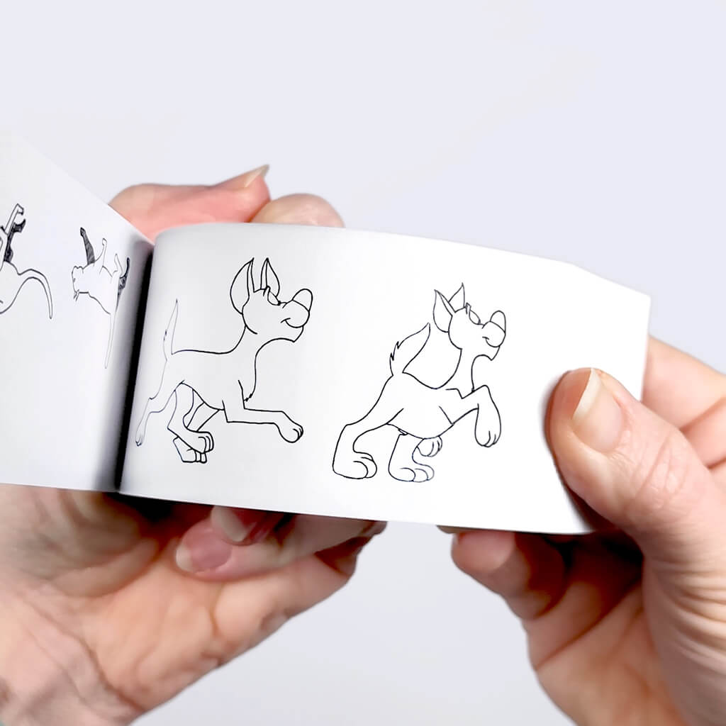 Human & Animal Motion Flipbook Set - Flipboku
