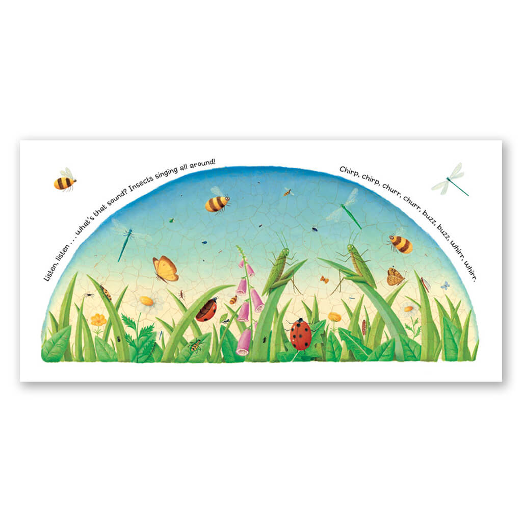 Listen, Listen - Barefoot Books (Large Boardbook)